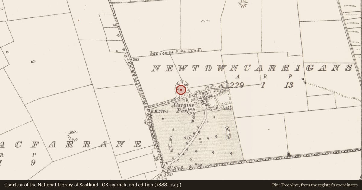 Ordnance Survey six-inch map, 2nd edition (1888–1915) covering the location of Ringfort - rath, Newtowncarrigans, County Roscommon, with a pin at the register's coordinates