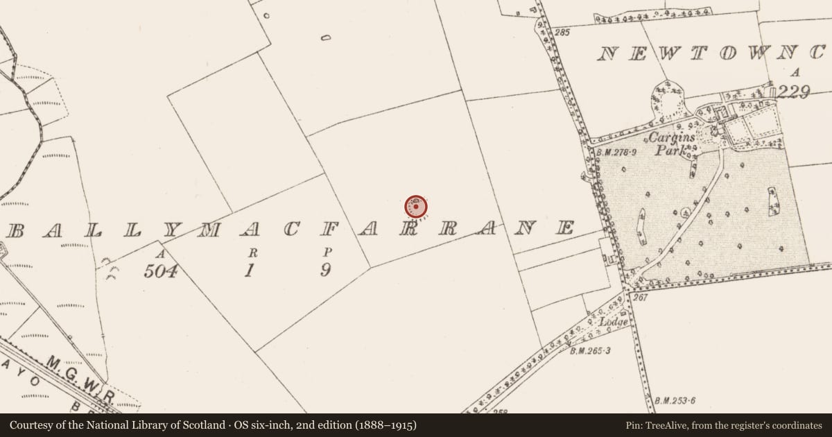 Ordnance Survey six-inch map, 2nd edition (1888–1915) covering the location of Ringfort - rath, Ballymacfarrane, County Roscommon, with a pin at the register's coordinates