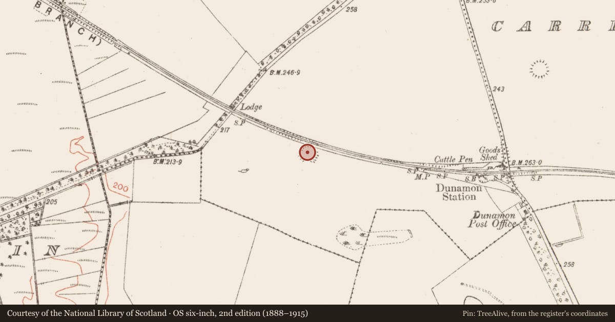 Ordnance Survey six-inch map, 2nd edition (1888–1915) covering the location of Ringfort - rath, Ballymacfarrane, County Roscommon, with a pin at the register's coordinates
