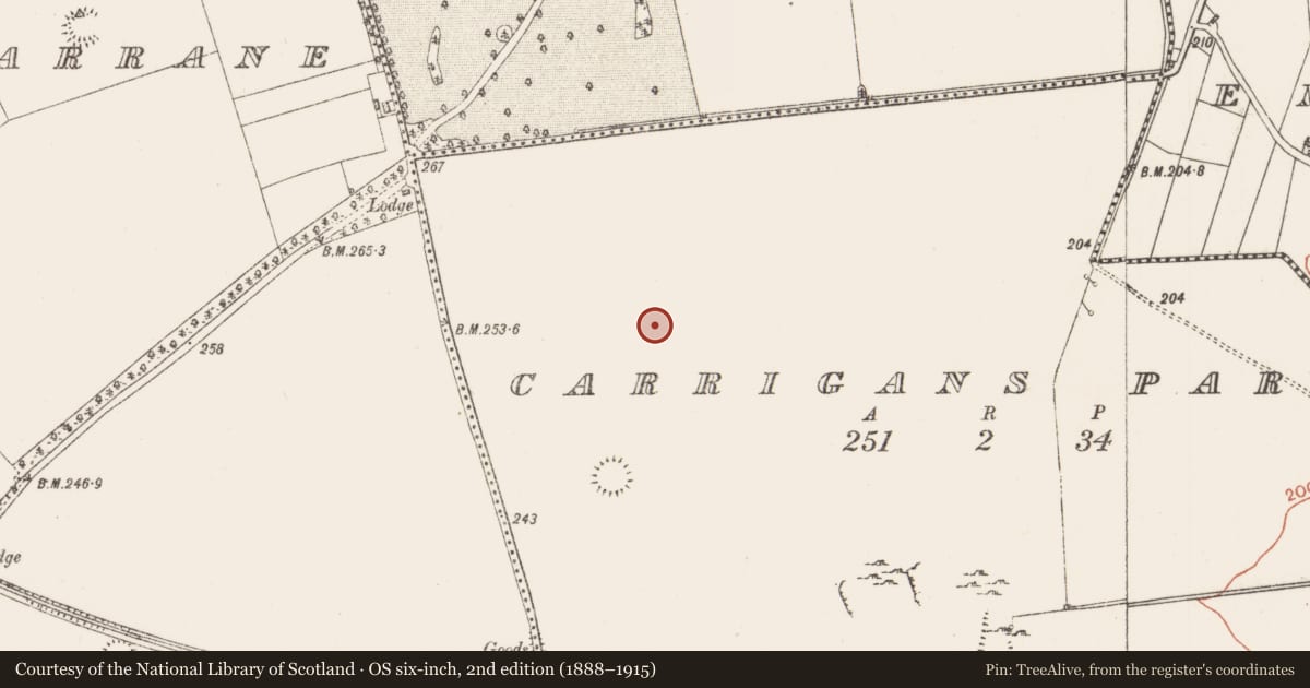 Ordnance Survey six-inch map, 2nd edition (1888–1915) covering the location of Ringfort - rath, Carrigans Park, County Roscommon, with a pin at the register's coordinates