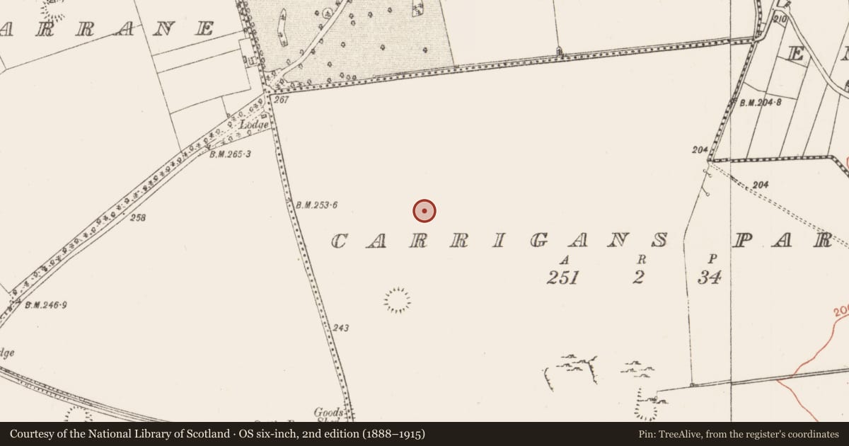 Ordnance Survey six-inch map, 2nd edition (1888–1915) covering the location of Field boundary, Carrigans Park, County Roscommon, with a pin at the register's coordinates