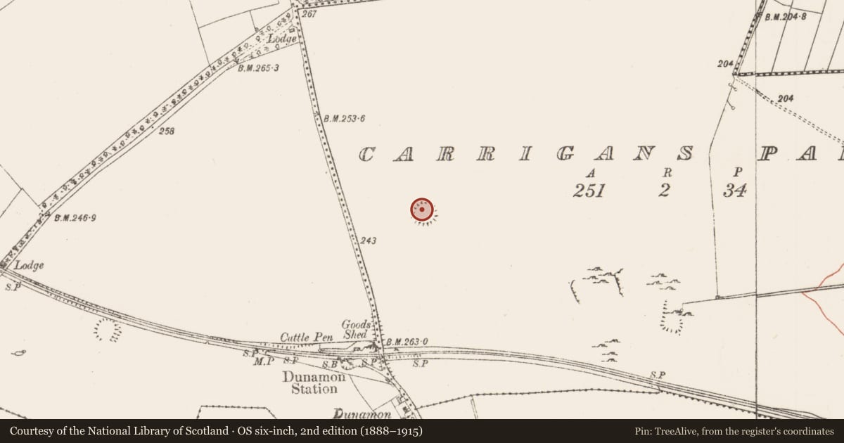 Ordnance Survey six-inch map, 2nd edition (1888–1915) covering the location of Ringfort - rath, Carrigans Park, County Roscommon, with a pin at the register's coordinates