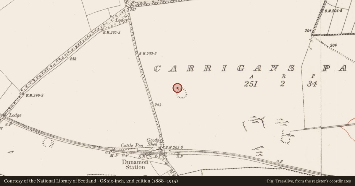 Ordnance Survey six-inch map, 2nd edition (1888–1915) covering the location of Field system, Carrigans Park, County Roscommon, with a pin at the register's coordinates