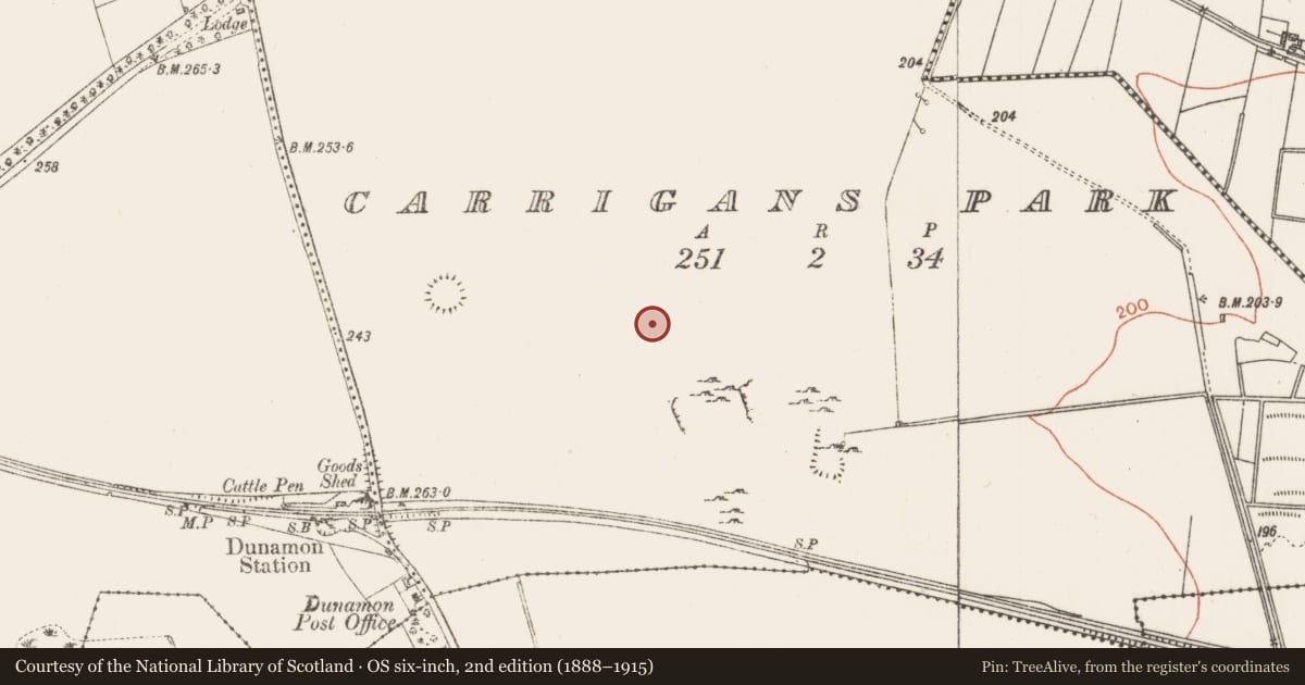 Ordnance Survey six-inch map, 2nd edition (1888–1915) covering the location of Field system, Carrigans Park, County Roscommon, with a pin at the register's coordinates