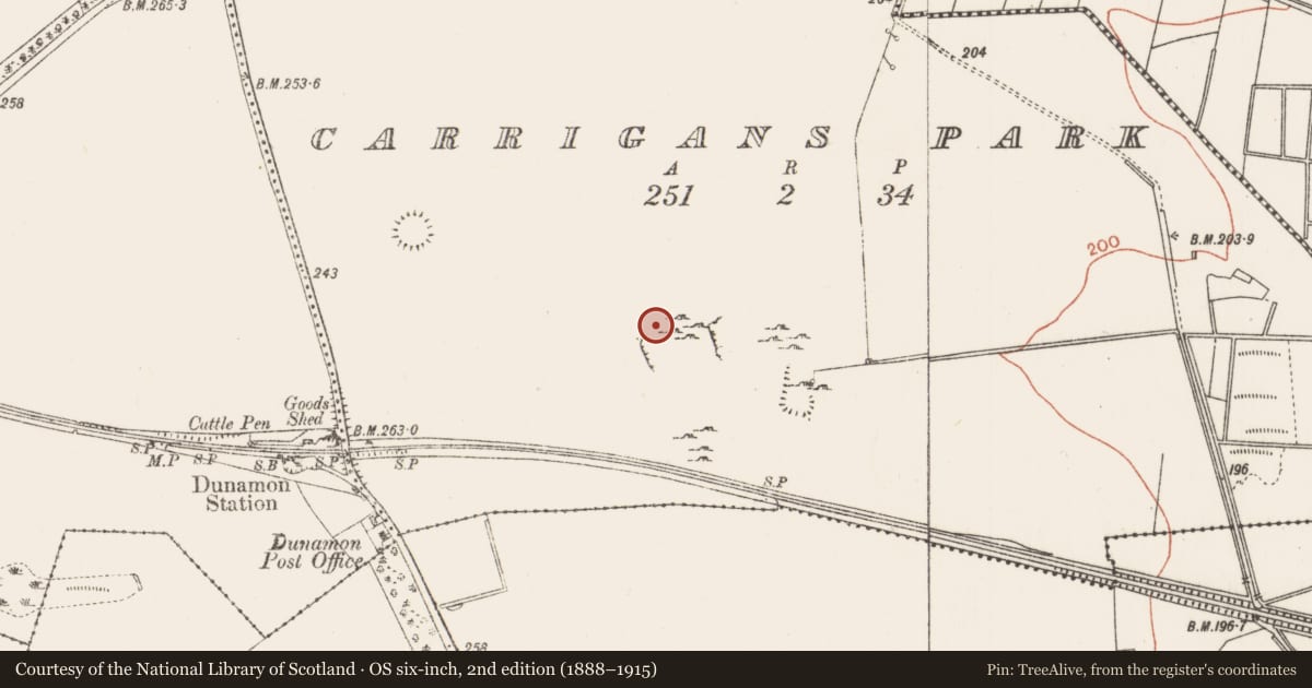 Ordnance Survey six-inch map, 2nd edition (1888–1915) covering the location of House - indeterminate date, Carrigans Park, County Roscommon, with a pin at the register's coordinates