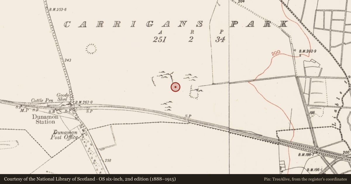 Ordnance Survey six-inch map, 2nd edition (1888–1915) covering the location of House - indeterminate date, Carrigans Park, County Roscommon, with a pin at the register's coordinates
