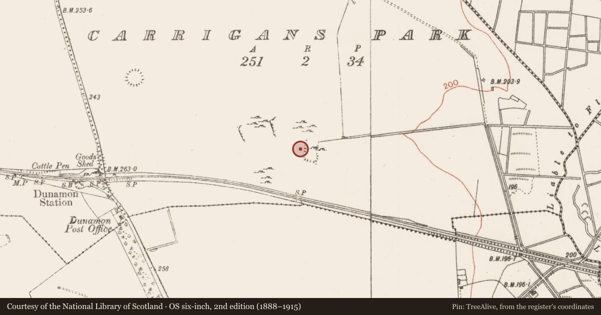 Ordnance Survey six-inch map, 2nd edition (1888–1915) covering the location of Quarry, Carrigans Park, County Roscommon, with a pin at the register's coordinates