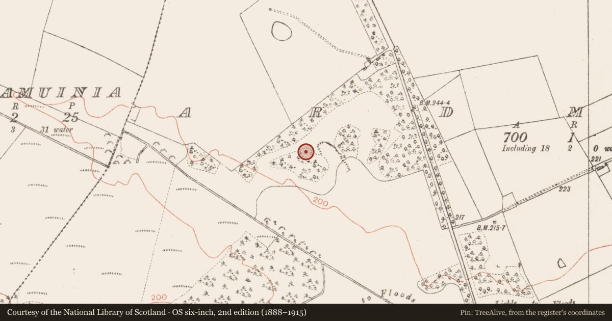 Ordnance Survey six-inch map, 2nd edition (1888–1915) covering the location of Earthwork, Ardmore, County Roscommon, with a pin at the register's coordinates