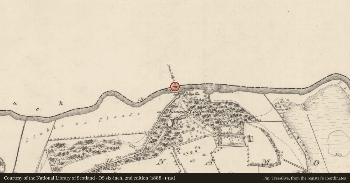 Ordnance Survey six-inch map, 2nd edition (1888–1915) covering the location of Bridge, Dunamon, County Roscommon, with a pin at the register's coordinates