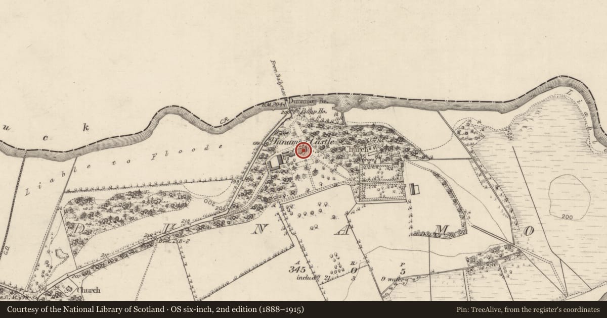 Ordnance Survey six-inch map, 2nd edition (1888–1915) covering the location of Castle - unclassified, Dunamon, County Roscommon, with a pin at the register's coordinates
