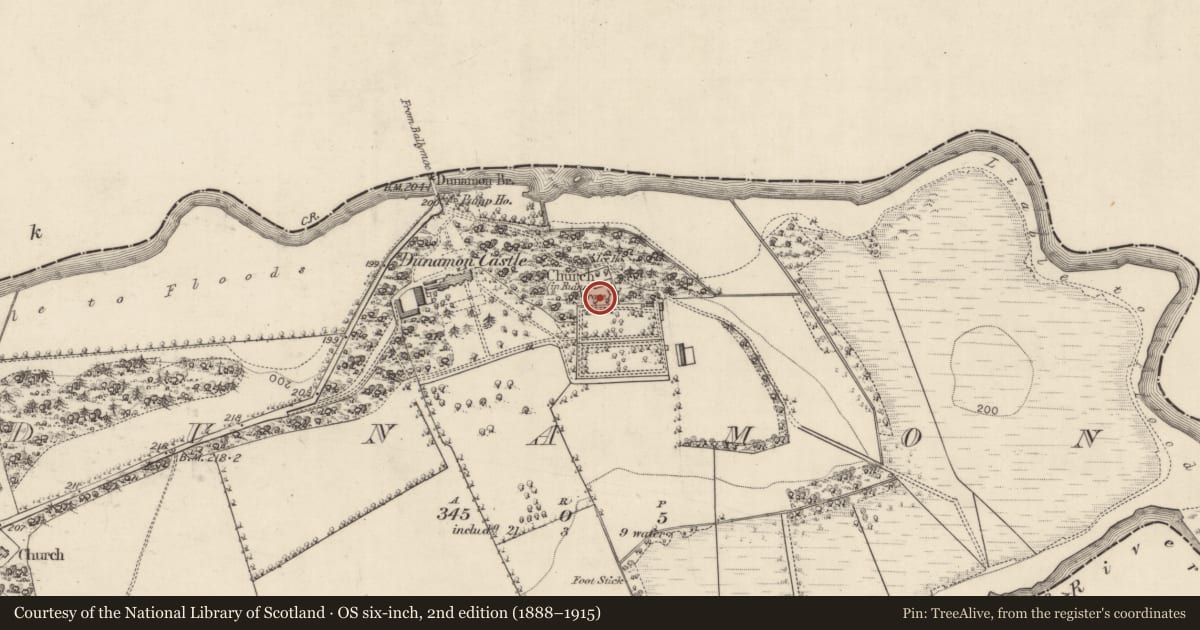 Ordnance Survey six-inch map, 2nd edition (1888–1915) covering the location of Graveyard, Dunamon, County Roscommon, with a pin at the register's coordinates
