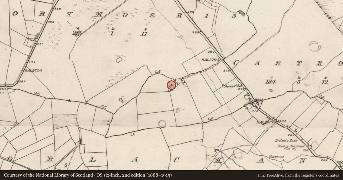 Ordnance Survey six-inch map, 2nd edition (1888–1915) covering the location of Ringfort - rath, Cartron, County Roscommon, with a pin at the register's coordinates