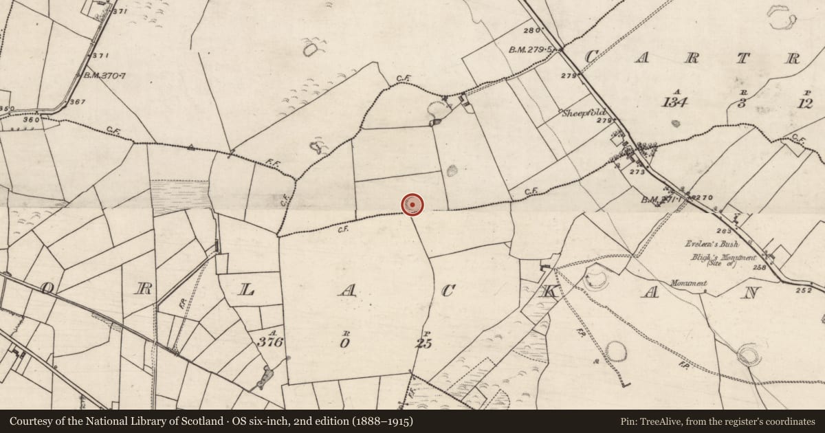 Ordnance Survey six-inch map, 2nd edition (1888–1915) covering the location of Ringfort - rath, Cartron, County Roscommon, with a pin at the register's coordinates