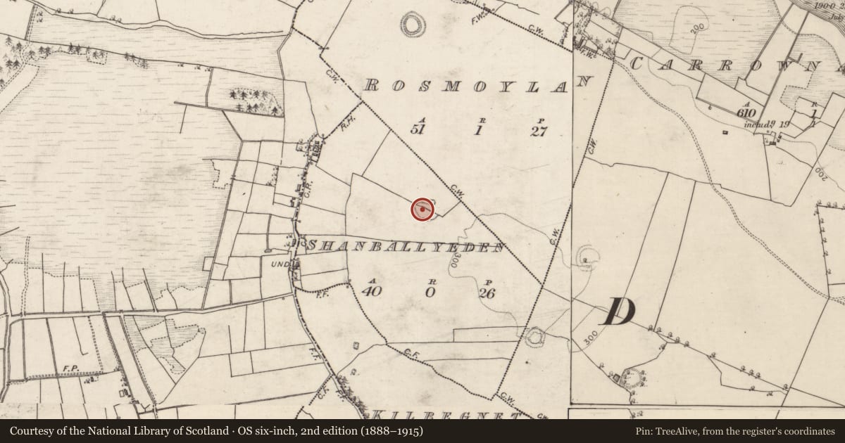 Ordnance Survey six-inch map, 2nd edition (1888–1915) covering the location of Ringfort - rath, Shanballyeden, County Roscommon, with a pin at the register's coordinates