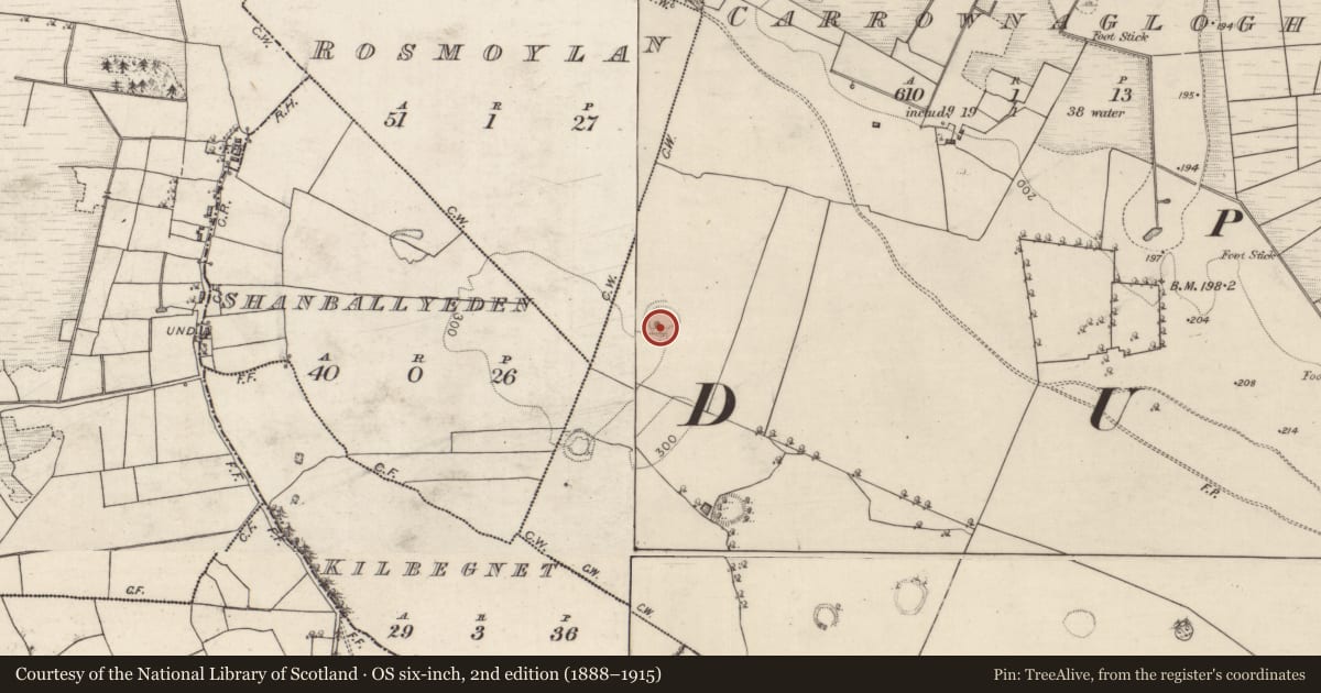Ordnance Survey six-inch map, 2nd edition (1888–1915) covering the location of Ringfort - rath, Carrownaglogh, County Roscommon, with a pin at the register's coordinates