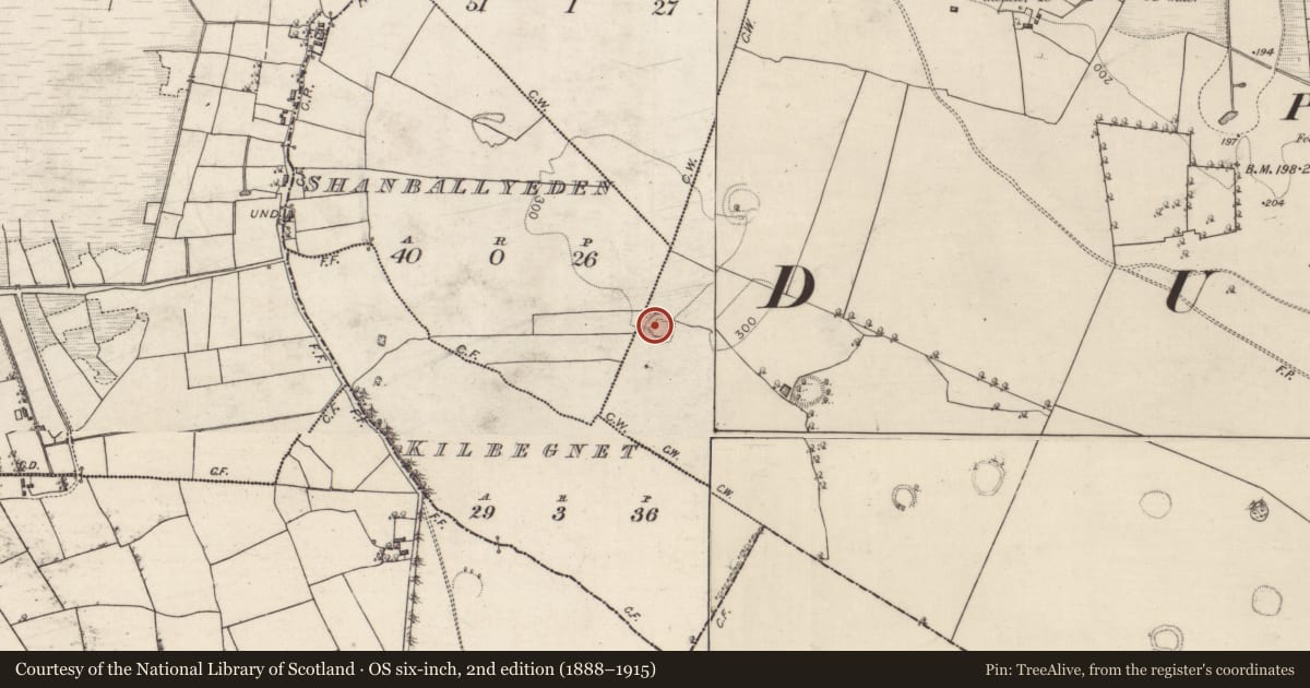 Ordnance Survey six-inch map, 2nd edition (1888–1915) covering the location of Ringfort - rath, Carrownaglogh, County Roscommon, with a pin at the register's coordinates