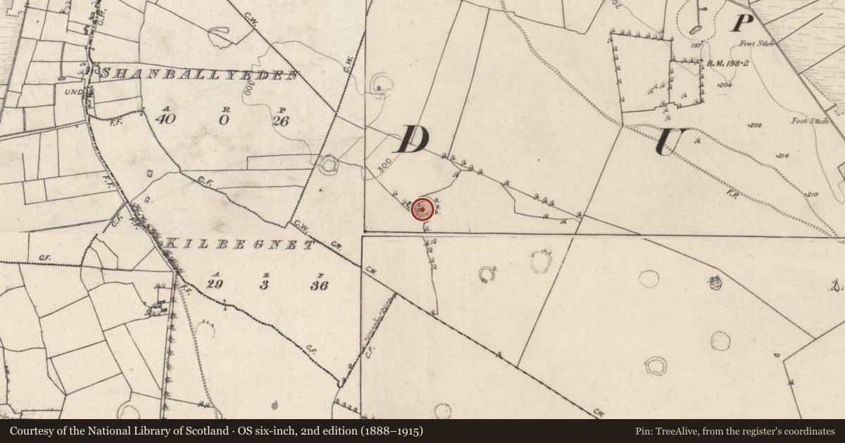 Ordnance Survey six-inch map, 2nd edition (1888–1915) covering the location of Ringfort - rath, Carrownaglogh, County Roscommon, with a pin at the register's coordinates