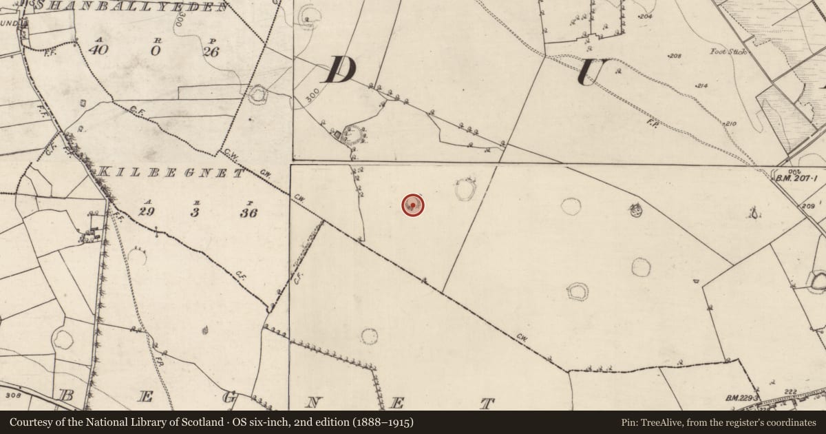 Ordnance Survey six-inch map, 2nd edition (1888–1915) covering the location of Ringfort - rath, Carrownaglogh, County Roscommon, with a pin at the register's coordinates