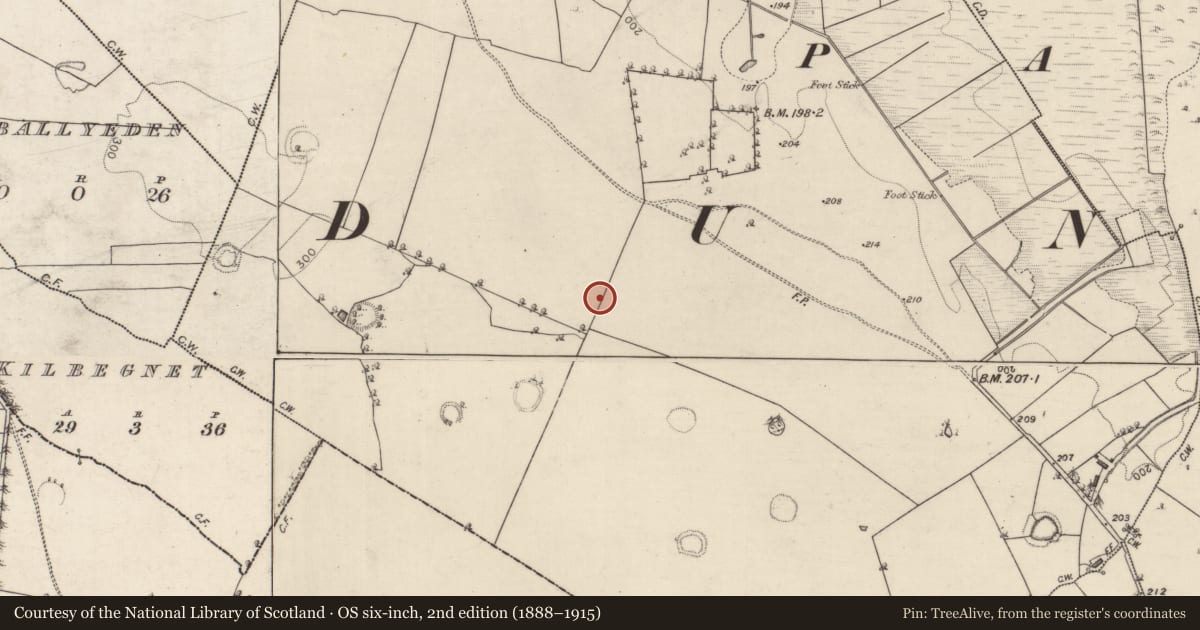 Ordnance Survey six-inch map, 2nd edition (1888–1915) covering the location of Quarry, Carrownaglogh, County Roscommon, with a pin at the register's coordinates