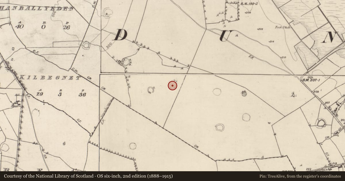 Ordnance Survey six-inch map, 2nd edition (1888–1915) covering the location of Ringfort - rath, Carrownaglogh, County Roscommon, with a pin at the register's coordinates