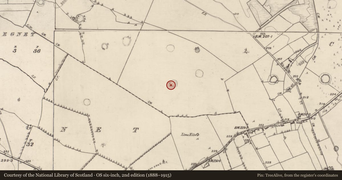 Ordnance Survey six-inch map, 2nd edition (1888–1915) covering the location of Ringfort - rath, Carrownaglogh, County Roscommon, with a pin at the register's coordinates