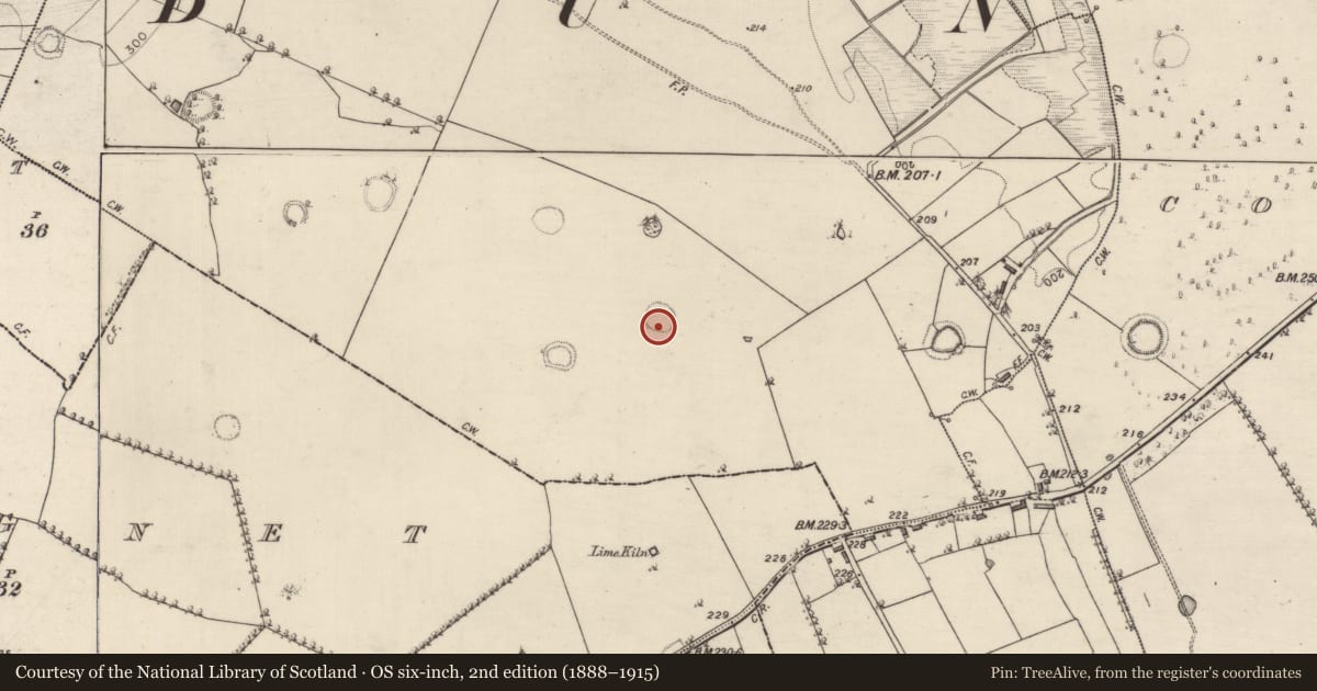Ordnance Survey six-inch map, 2nd edition (1888–1915) covering the location of Ringfort - rath, Carrownaglogh, County Roscommon, with a pin at the register's coordinates