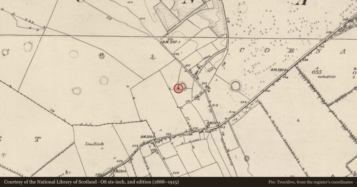 Ordnance Survey six-inch map, 2nd edition (1888–1915) covering the location of Ringfort - rath, Carrownaglogh, County Roscommon, with a pin at the register's coordinates