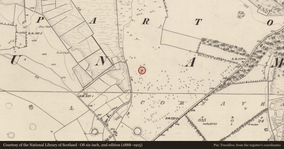 Ordnance Survey six-inch map, 2nd edition (1888–1915) covering the location of Ringfort - rath, Cornaveagh, County Roscommon, with a pin at the register's coordinates