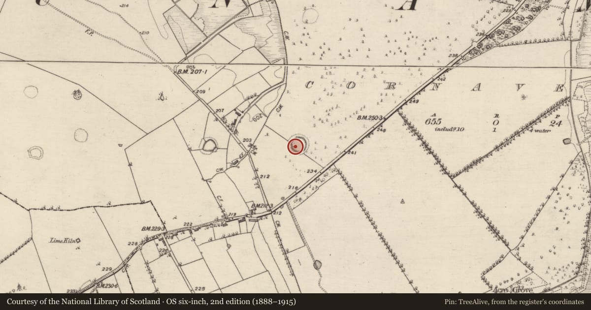 Ordnance Survey six-inch map, 2nd edition (1888–1915) covering the location of Ringfort - rath, Cornaveagh, County Roscommon, with a pin at the register's coordinates