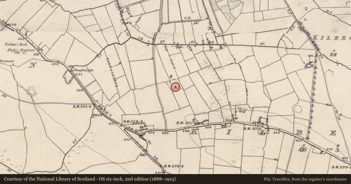 Ordnance Survey six-inch map, 2nd edition (1888–1915) covering the location of Ringfort - rath, Kilbegnet, County Roscommon, with a pin at the register's coordinates