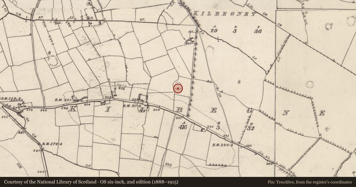 Ordnance Survey six-inch map, 2nd edition (1888–1915) covering the location of Ringfort - rath, Kilbegnet, County Roscommon, with a pin at the register's coordinates