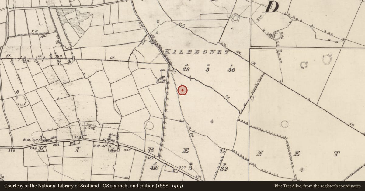 Ordnance Survey six-inch map, 2nd edition (1888–1915) covering the location of Ringfort - rath, Kilbegnet, County Roscommon, with a pin at the register's coordinates