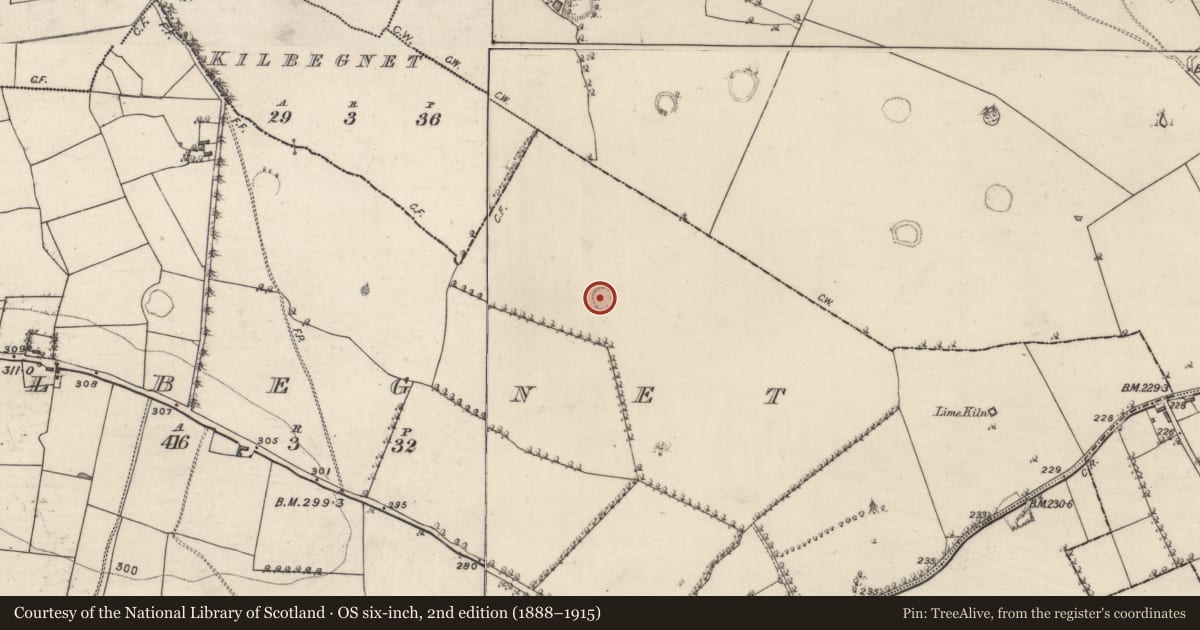 Ordnance Survey six-inch map, 2nd edition (1888–1915) covering the location of Ringfort - rath, Kilbegnet, County Roscommon, with a pin at the register's coordinates