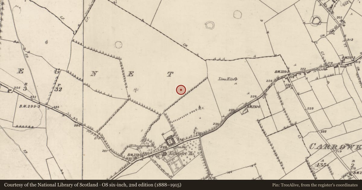 Ordnance Survey six-inch map, 2nd edition (1888–1915) covering the location of Megalithic tomb - wedge tomb, Kilbegnet, County Roscommon, with a pin at the register's coordinates