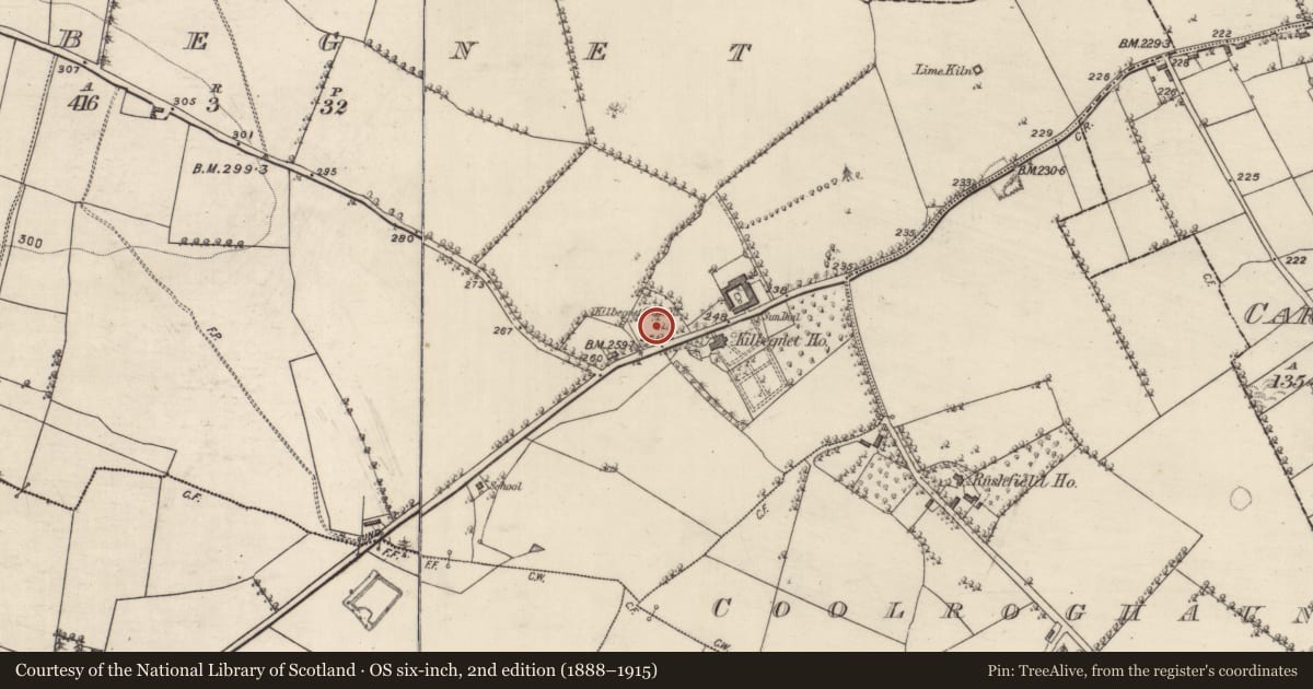 Ordnance Survey six-inch map, 2nd edition (1888–1915) covering the location of Church, Kilbegnet, County Roscommon, with a pin at the register's coordinates