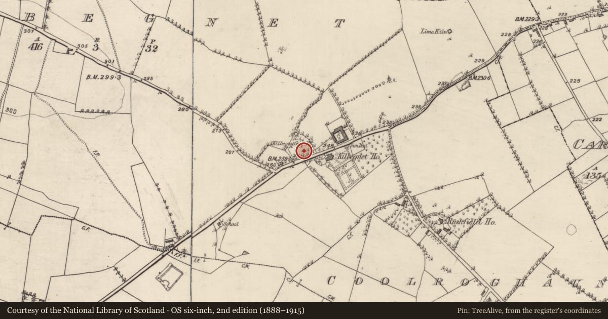 Ordnance Survey six-inch map, 2nd edition (1888–1915) covering the location of Graveslab, Kilbegnet, County Roscommon, with a pin at the register's coordinates
