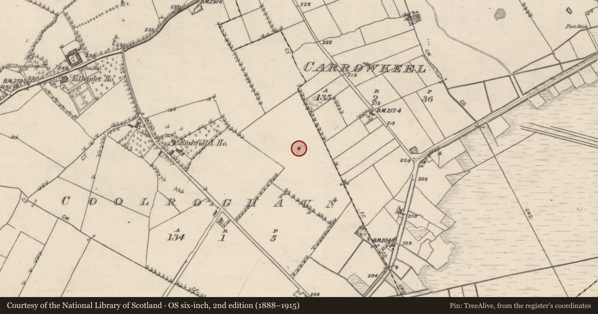 Ordnance Survey six-inch map, 2nd edition (1888–1915) covering the location of Ringfort - rath, Coolroghaun, County Roscommon, with a pin at the register's coordinates