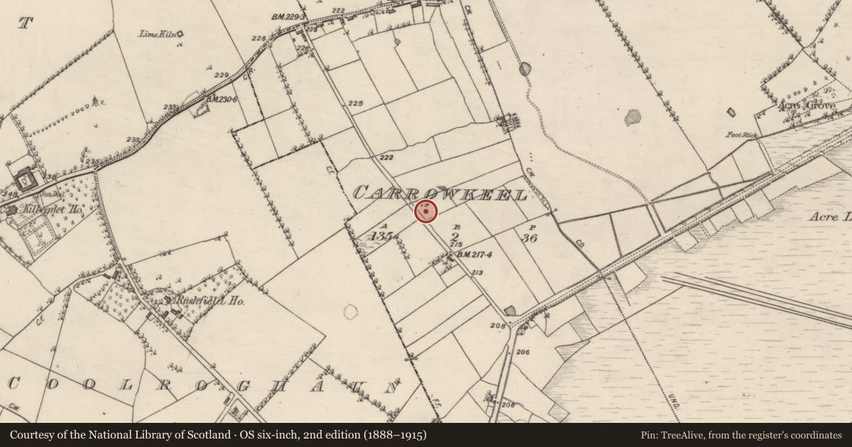 Ordnance Survey six-inch map, 2nd edition (1888–1915) covering the location of Ringfort - rath, Carrowkeel, County Roscommon, with a pin at the register's coordinates