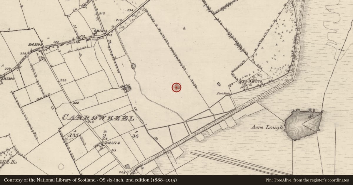Ordnance Survey six-inch map, 2nd edition (1888–1915) covering the location of Quarry, Cornaveagh, County Roscommon, with a pin at the register's coordinates