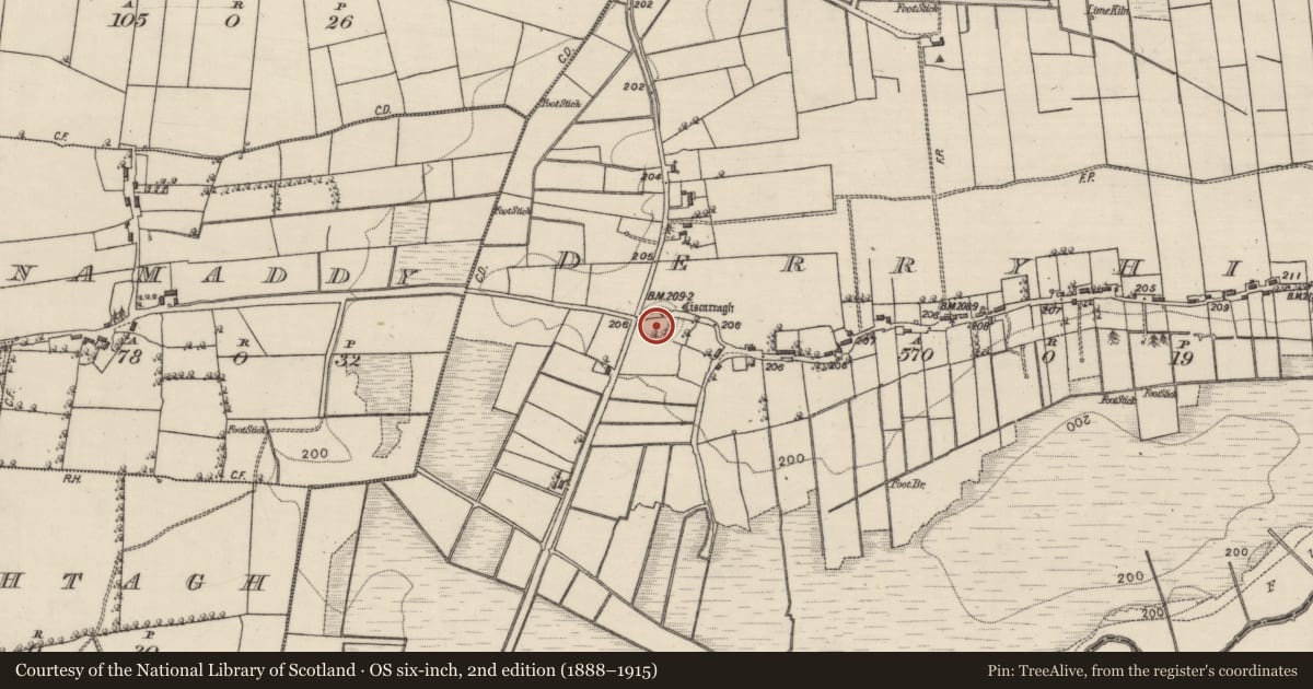 Ordnance Survey six-inch map, 2nd edition (1888–1915) covering the location of Ringfort - rath, Derryhippoo, County Roscommon, with a pin at the register's coordinates