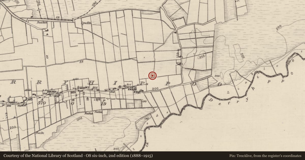 Ordnance Survey six-inch map, 2nd edition (1888–1915) covering the location of Ringfort - rath, Derryhippoo, County Roscommon, with a pin at the register's coordinates