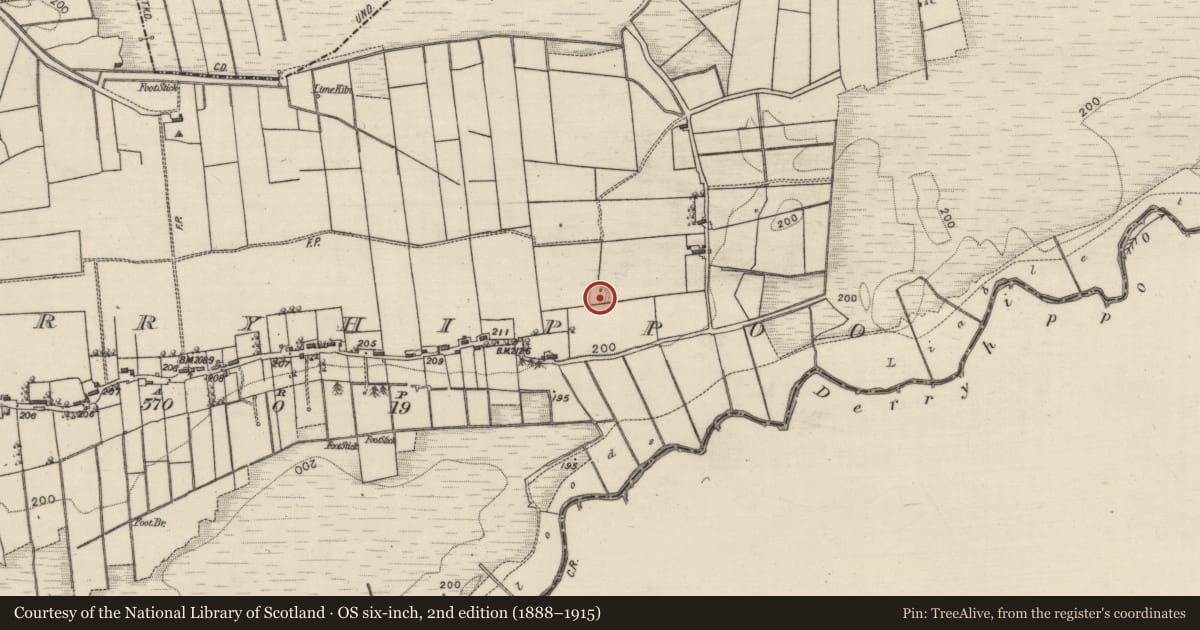 Ordnance Survey six-inch map, 2nd edition (1888–1915) covering the location of Hut site, Derryhippoo, County Roscommon, with a pin at the register's coordinates