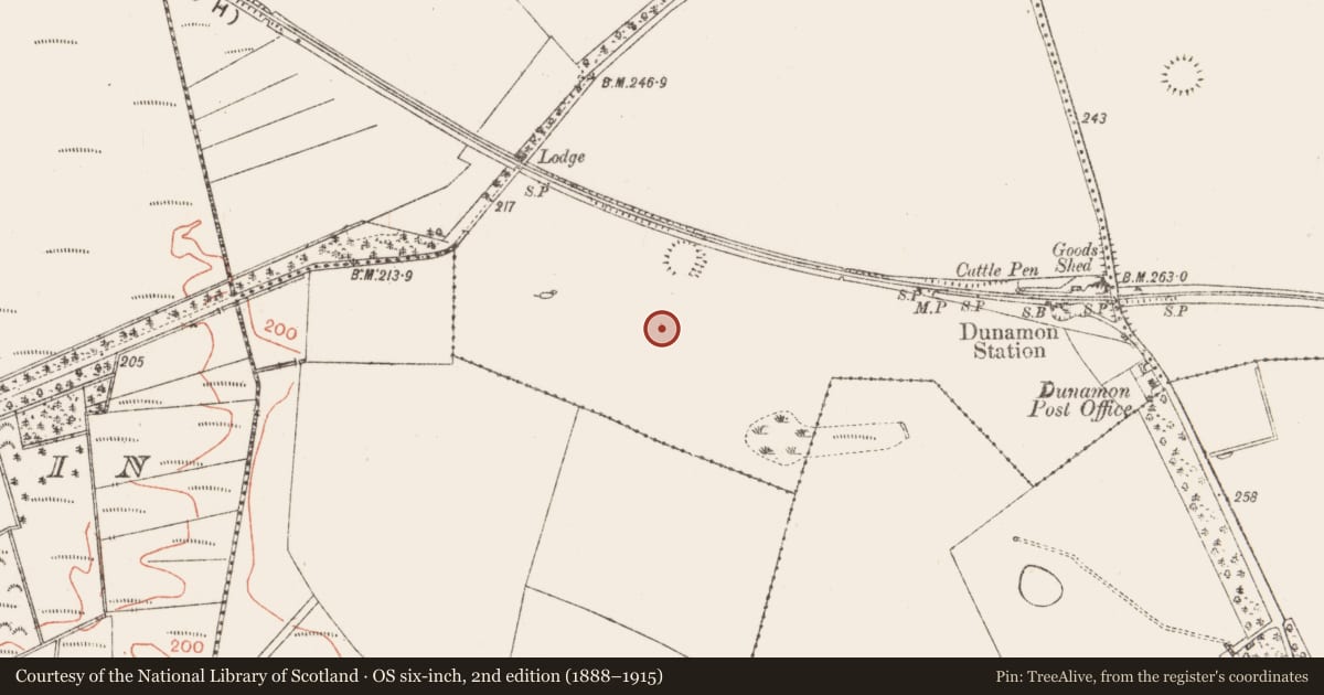 Ordnance Survey six-inch map, 2nd edition (1888–1915) covering the location of Fulacht fia, Ballymacfarrane, County Roscommon, with a pin at the register's coordinates