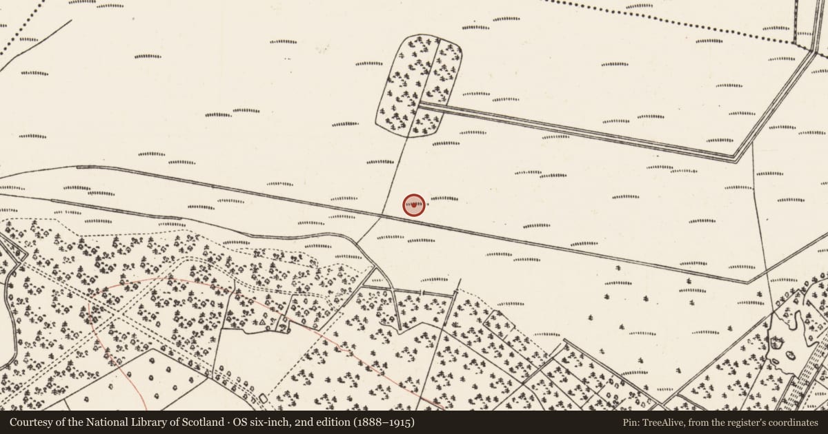 Ordnance Survey six-inch map, 2nd edition (1888–1915) covering the location of Enclosure, Ardmore, County Roscommon, with a pin at the register's coordinates