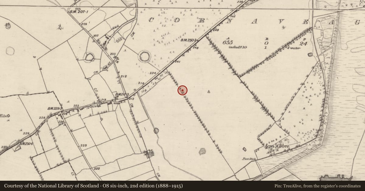 Ordnance Survey six-inch map, 2nd edition (1888–1915) covering the location of Enclosure, Cornaveagh, County Roscommon, with a pin at the register's coordinates