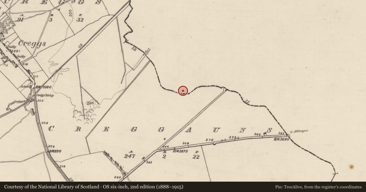 Ordnance Survey six-inch map, 2nd edition (1888–1915) covering the location of Standing stone, Aghagad, County Roscommon, with a pin at the register's coordinates
