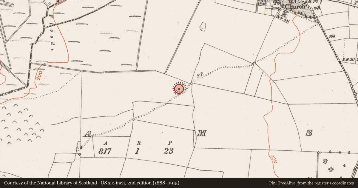 Ordnance Survey six-inch map, 2nd edition (1888–1915) covering the location of Ringfort - rath, Cams, County Roscommon, with a pin at the register's coordinates