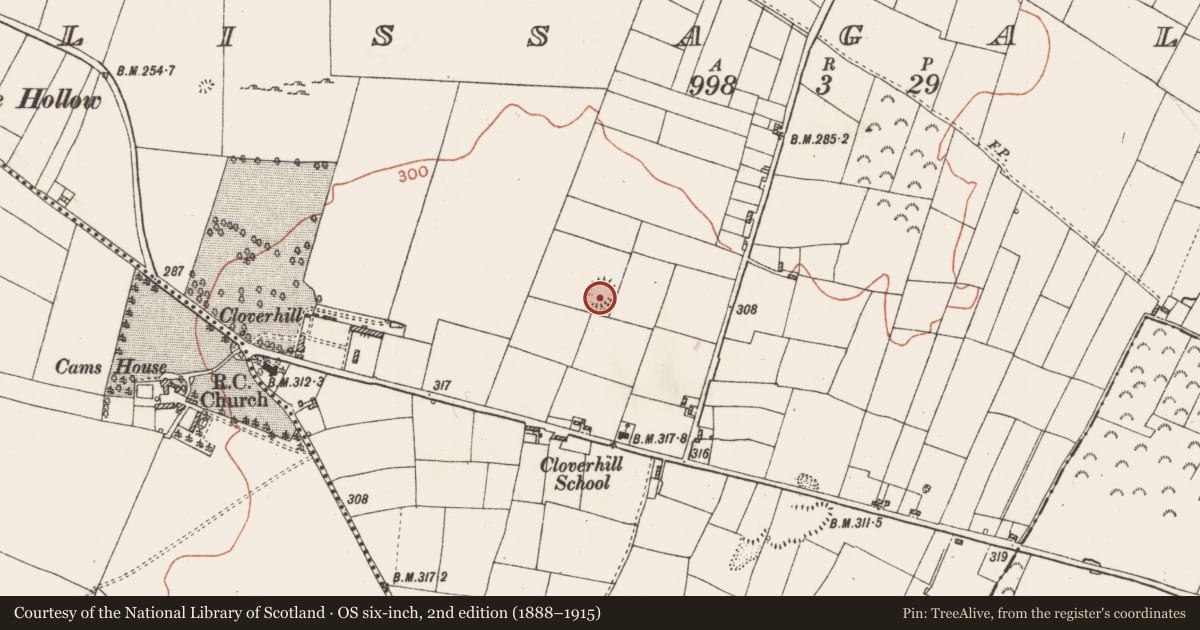 Ordnance Survey six-inch map, 2nd edition (1888–1915) covering the location of Ringfort - rath, Lissagallan, County Roscommon, with a pin at the register's coordinates
