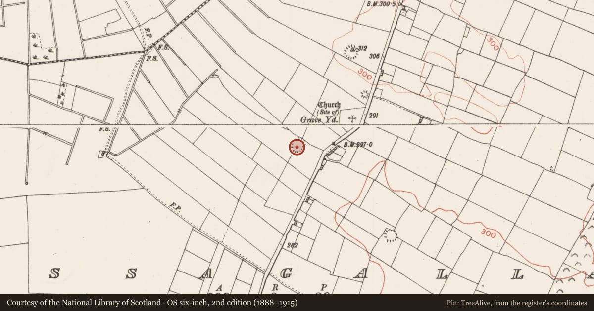 Ordnance Survey six-inch map, 2nd edition (1888–1915) covering the location of Ringfort - rath, Lissagallan, County Roscommon, with a pin at the register's coordinates