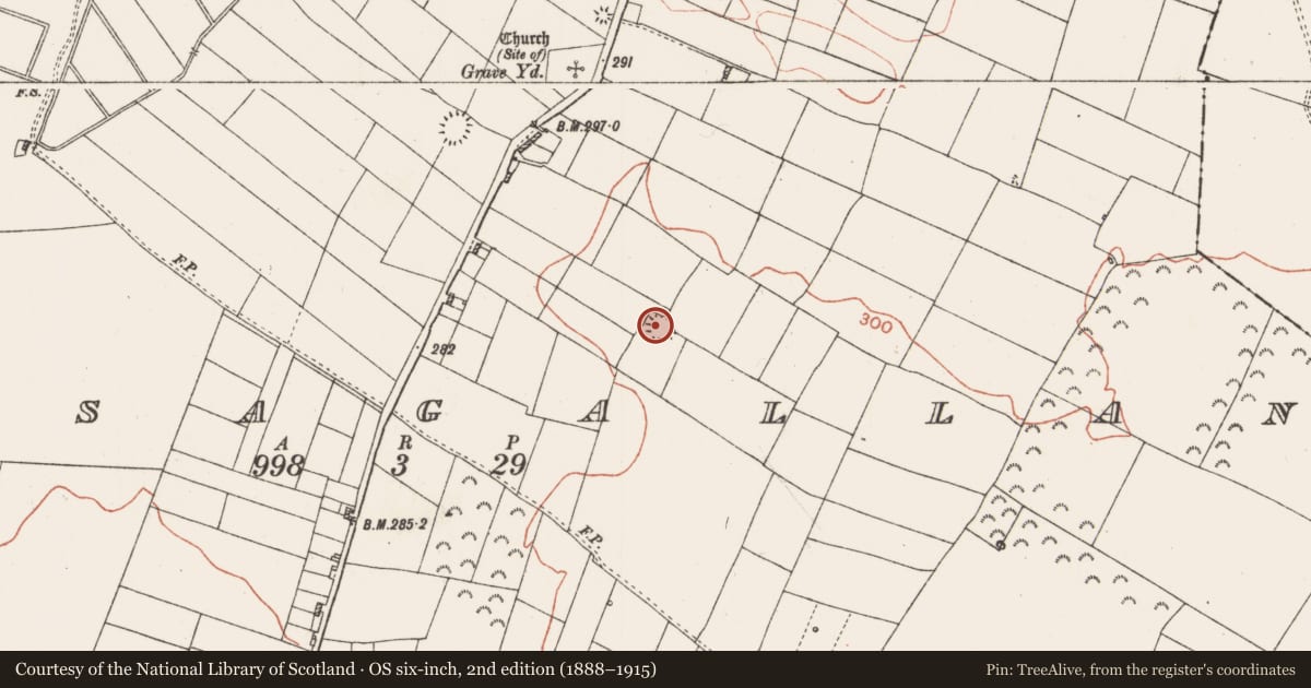 Ordnance Survey six-inch map, 2nd edition (1888–1915) covering the location of Souterrain, Lissagallan, County Roscommon, with a pin at the register's coordinates